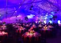 2017 Zoo Ball Corporate Event