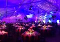 2017 Zoo Ball Corporate Event